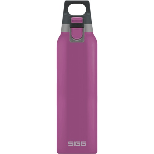 Thermo Bottle One Berry Hot&Cold 0.5l '19 8693.90